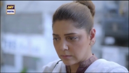 Pinjra - Episode 19 - 2nd Feb 2023